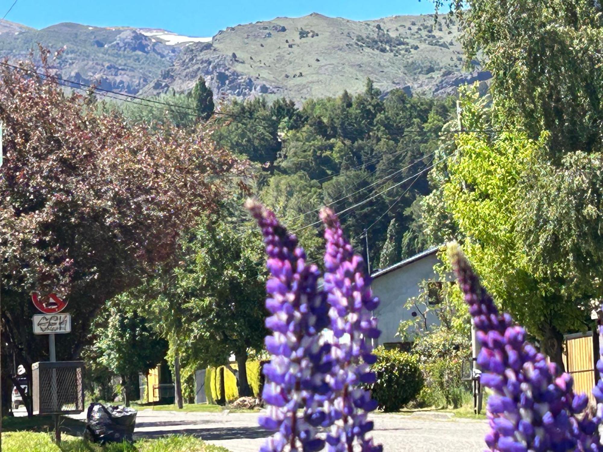 Cabana Le Betulle Villa San Martin de los Andes Exterior photo